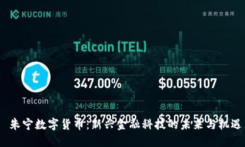 朱宁数字货币:新兴金融科技的未来与机遇
