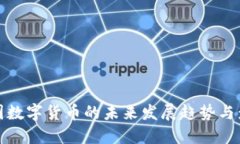 中国数字货币的未来发展趋势与影响
