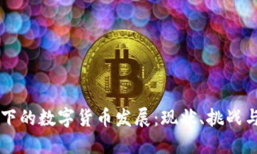 国资背景下的数字货币发展:现状、挑战与未来展望