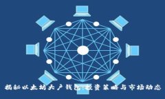 揭秘以太坊大户钱包：投资策略与市场动态