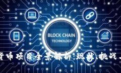 中国数字货币项目全景解析:现状、挑战与未来