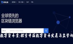 寿光数字货币案：探索中国数字货币发展与监管