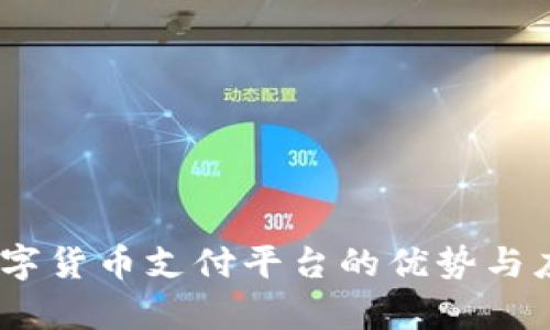 USDT数字货币支付平台的优势与应用分析