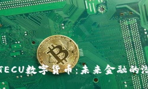 深入分析TECU数字货币:未来金融的潜力与挑战