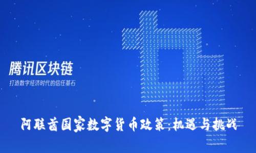 阿联酋国家数字货币政策:机遇与挑战