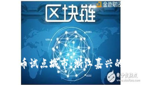 探秘数字货币试点城市:浙江嘉兴的机遇与挑战