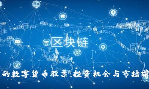 受监管的数字货币股票：投资机会与市场前景分析