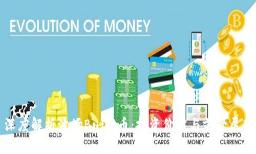 深度解析波场Bull1币：投资价值与前景展望