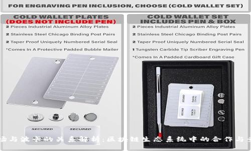 波场与波卡的关系解析：区块链生态系统中的合作与竞争