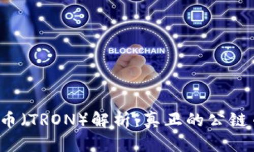 波场币（TRON）解析：真正的公链币吗？