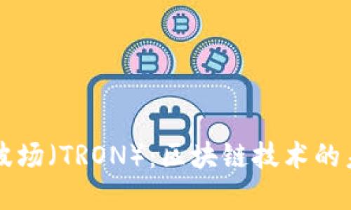 深入了解波场（TRON）：区块链技术的未来与应用