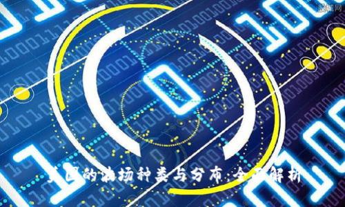 美国的波场种类与分布：全面解析