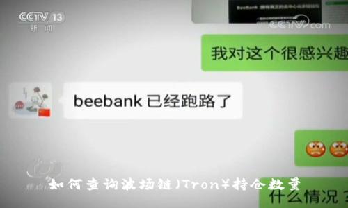 如何查询波场链（Tron）持仓数量